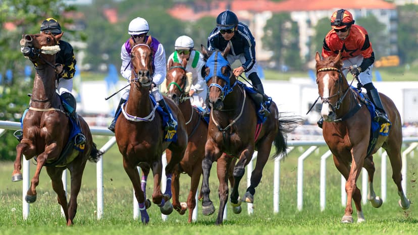 Como se pagan las apuestas de caballos